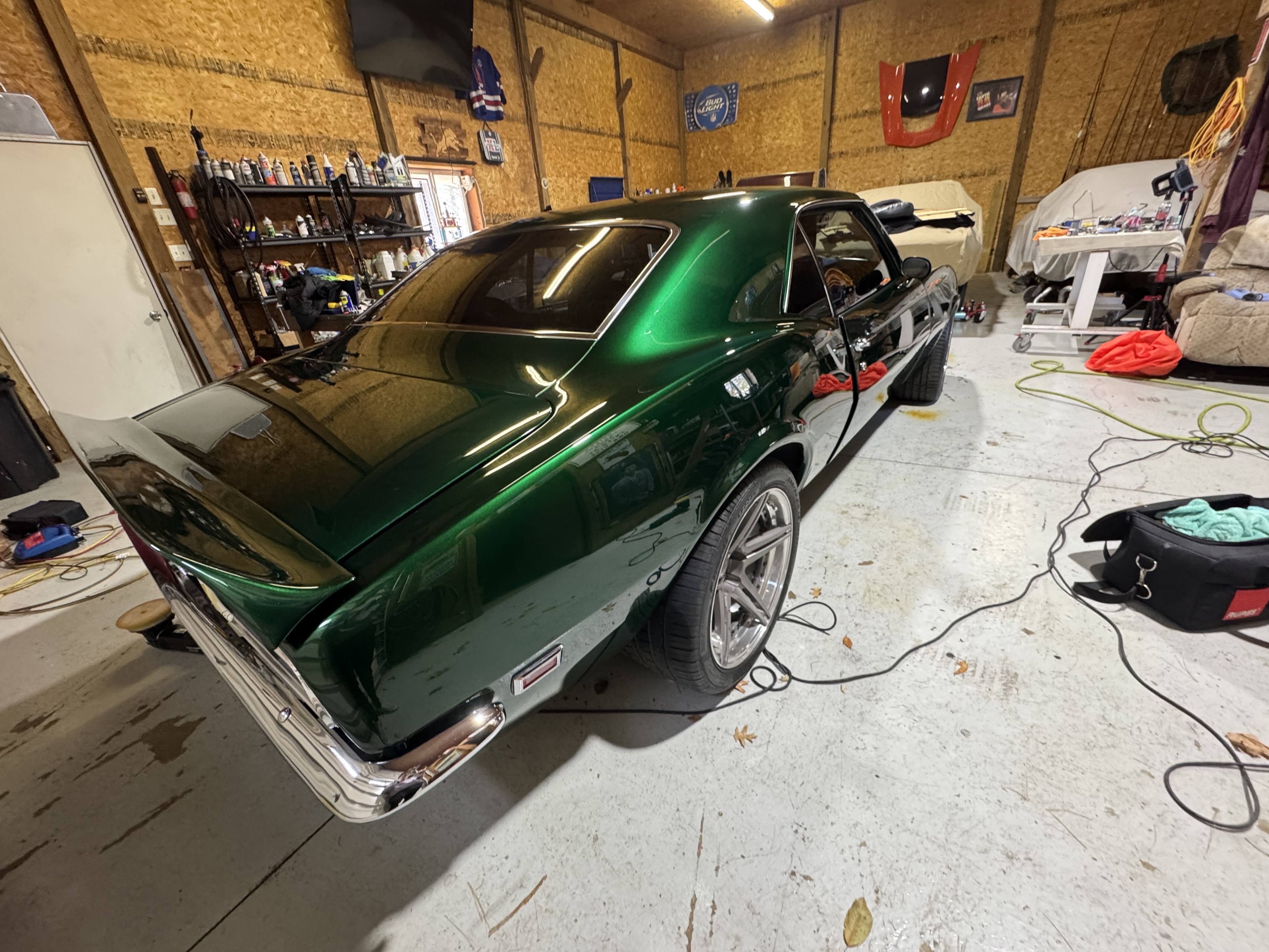 Green Ford — after detailing, close-up shot